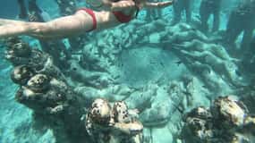 Gili Air/Trawangan: Glass-Bottom Boat Tour with Snorkeling