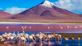 From Atacama | Uyuni salt flat 4 days the largest salt flat