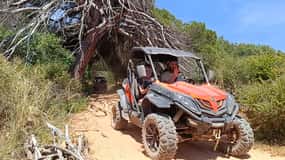 Da Albufeira: Avventura in buggy a Paderne