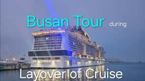 [small group] Busan Tour for Cruise ship passengers.