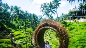 Bali : Kintamani, Tegalalang et plantation de café