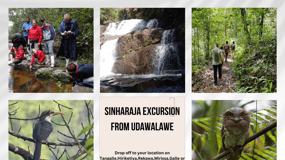 Udawalawe:Sinharaja Day Tour Drop Off Mirissa/Galle/Tangalle