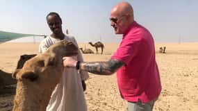 Kuwait Tour Guide mit Comfort Car&WIFI 5G Free on Board