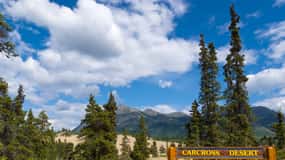 Yukon Escapade: Lakes, Wilderness, and Hidden Gems