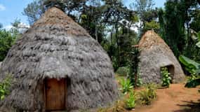 Moshi: Visita à aldeia de Chagga