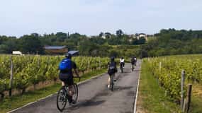 Burdeos en bicicleta de gravilla : Centro histórico y viñedos