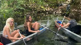 Silver Springs: Guided Clear Kayak or Paddleboard Gator Tour