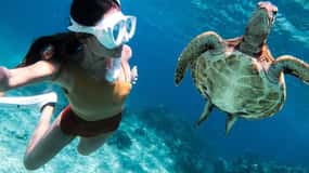 Bohol: Swim with Sea Turtles & Dolphins –Island Hopping Tour