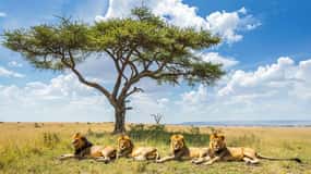 Mombasa: 3-Days 2-Nights Tsavo East and West Private Safari.