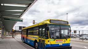 Manhattan: Bus Transfer from/to Newark Airport