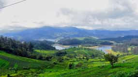 Coimbatore: Ooty Day Trip with Private Cab