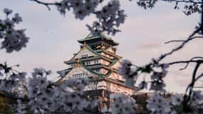 Osaka/Nara/Kyoto: Soukromá prohlídka s anglicky mluvícím průvodcem