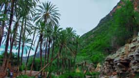 Agadir/Taghazout: Atlas Mountain Paradise Valley Berber Town