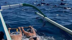 Lovina : Bali : observation des dauphins, baignade et plongée en apnée