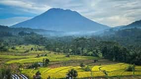Bali : Visite du temple de Besakih et de Sidemen