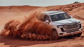 Doha: Desert Safari with Activities and Inland Sea Stop