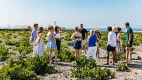 Santorini: excursão vinícola ao pôr do sol para grupos pequenos com a vinícola Santo