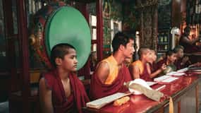 Explore Dharamshala's monasteries for Tibetan spirituality