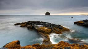 From Reykjavik: Blue Lagoon and Reykjanes Peninsula Tour