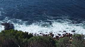 Cape Agulhas Southern Most Tip of the African continent Tour