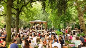 Amsterdam: ARTIS Sommernächte im ARTIS Zoo
