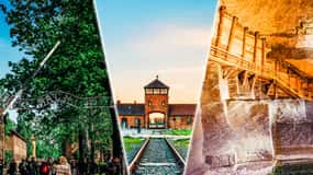 Kraków: Guidad tur Auschwitz & Wieliczka saltgruva