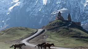 Tbilisi: Kazbegi Full-Day Group Tour