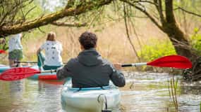 Biesbosch: Aluguer de caiaques com mapa do percurso e colete salva-vidas