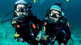 Bohol: Pamilacan Island Fun Dive Experience!