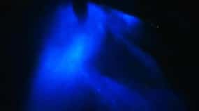 Bioluminescens kvällstur med snorkling från Pochote Beach