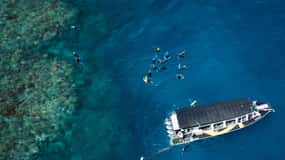 From Cairns: Great Barrier Reef Half-Day Snorkeling Tour
