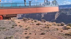 Laughlin: Grand Canyon Tour with lunch