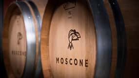 The Dosman: Winetasting in La Morra