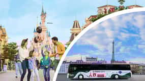 París: Traslado de ida y vuelta de París a Disneyland París