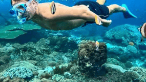 Muscat: Daymaniat Snorkeling Tour with Pick up & Drop off