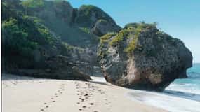 Puerto Rico: Aguadilla West Coast Beaches & Gastronomy Tour