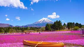 From Tokyo: Mt. Fuji, Lake Kawaguchi, Oshino Hakkai Day Trip