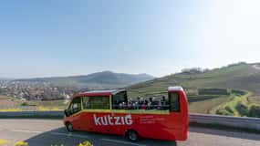 Alsace Wine Route: multi-stop convertible bus tour