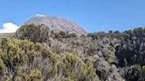Moshi: Kilimanjaro Klim Marangu Route Rondleiding