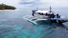 Bohol: Delfinskådning Delfinskådning och snorkling på Balicasag Island