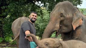 Chiang Mai: Doi Inthanon and Elephant Sanctuary Tour