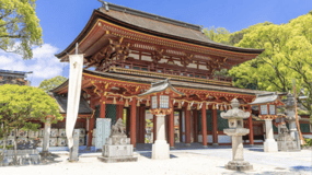 Fukuoka Private Custom Tour with Local Guide