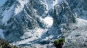 Nairobi: Mount Kenya Day Hike with Lunch
