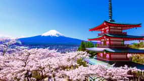 Tokyo: Mt. Fuji, LakeKawaguchiko, Pagoda, & Oishi Park Tour