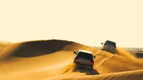 Doha: Wüstensafari, Kamel, Sandboarding, Binnenseetour