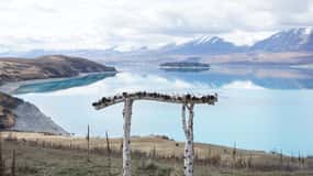Visita a uma quinta no alto do Lago Tekapo (Carbono Positivo)