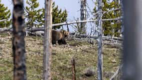 Cody: Yellowstone the Volcano All-Inclusive Lower Loop Tour