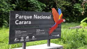 Carara nationalpark: Guidad vandring Carara Costa Rica Natur