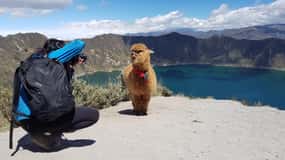 Quilotoa Tour: 1 day in a dream landscape from Quito.