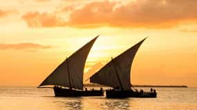 Stone Town: Sunset Dhow Cruise Experience